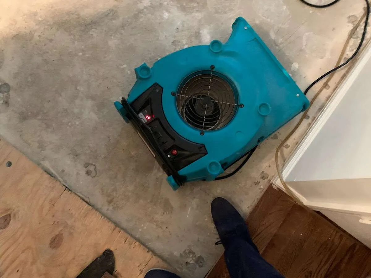 Air mover drying subfloor during Leak Detection & Repair in Leighton